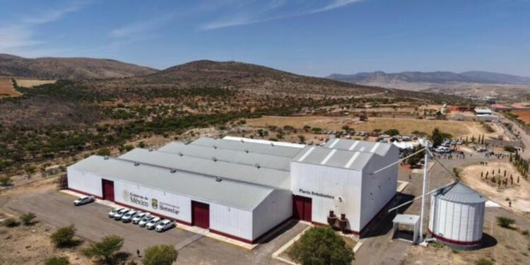 Alcanzamos la autosuficiencia de frijol gracias a Zacatecas: Presidenta al inaugurar Planta Embolsadora “Beatriz González Ortega”