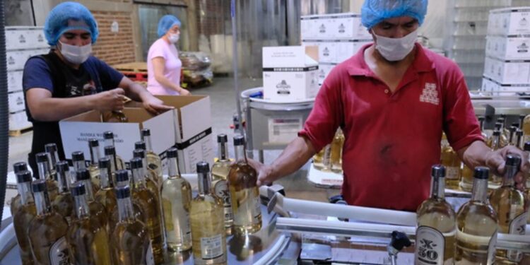 Crece economía de Jalisco 2.6 veces más en comparación con el promedio del país