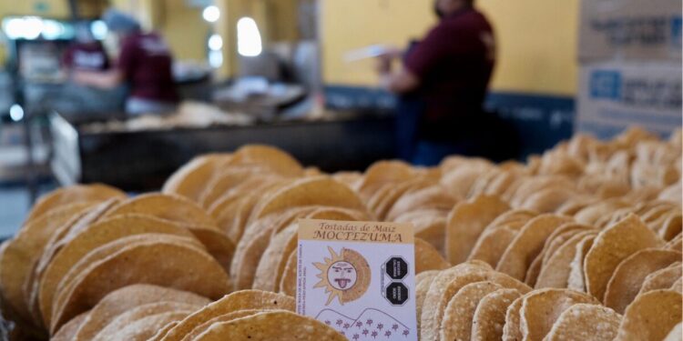 Abren convocatorias de apoyo económico para negocios afectados en el interior del estado