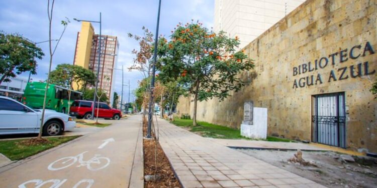 Invita SEDECO a artistas urbanos a intervenir la ciclovía de la ruta artesanal  