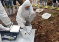 Fortalece Jalisco plan de acción ante posible presencia de plaga que afecta al plátano